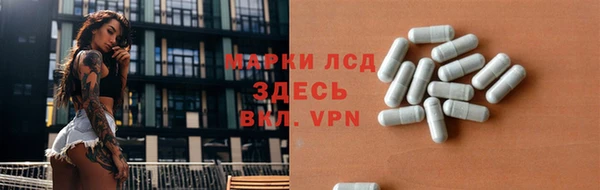 прущий лед Алзамай