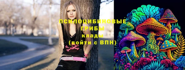 дживик Алексин