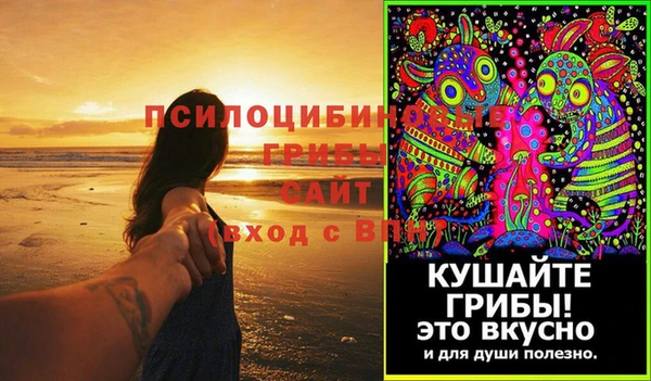 прущий лед Алзамай